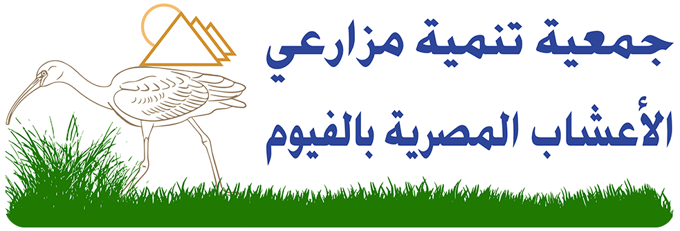 Egyptian Herbs Growers, Development Society at Fayoum