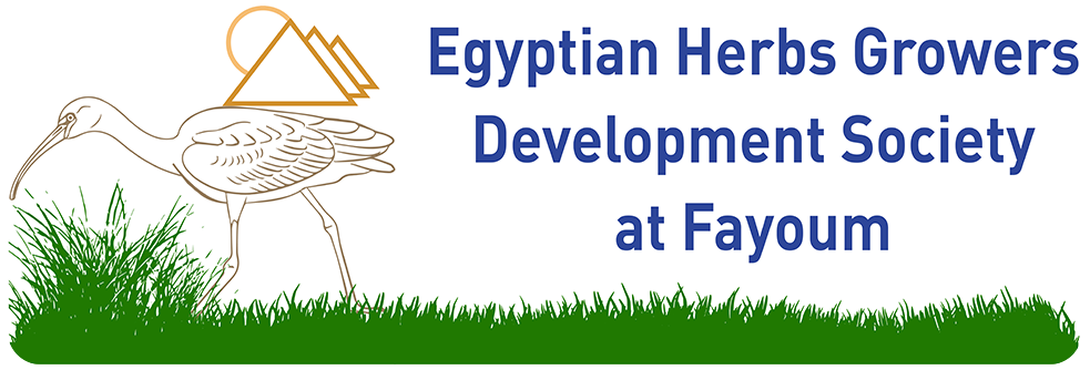 Egyptian Herbs Growers, Development Society at Fayoum